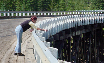 Bridge on the alcan Highway copy