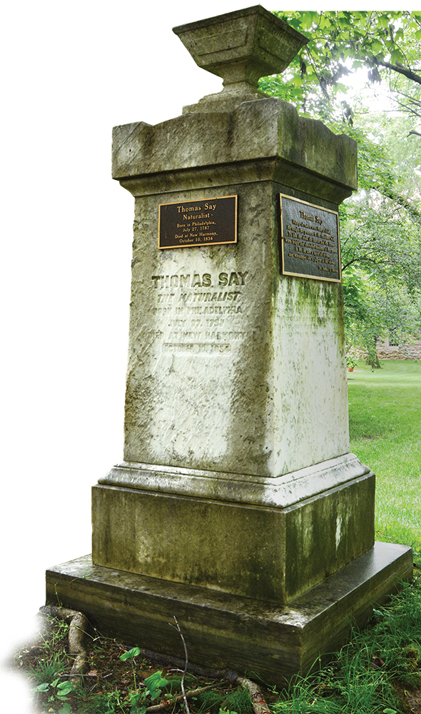 An obelisk marks Thomas Say's grave in the side garden of the “Rapp-Maclure Mansion” in New Harmony. The marker is viewable to the general public from the sidewalk around the garden, but the mansion is privately owned. Say is known as the “Father of descriptive entomology in the United States.”