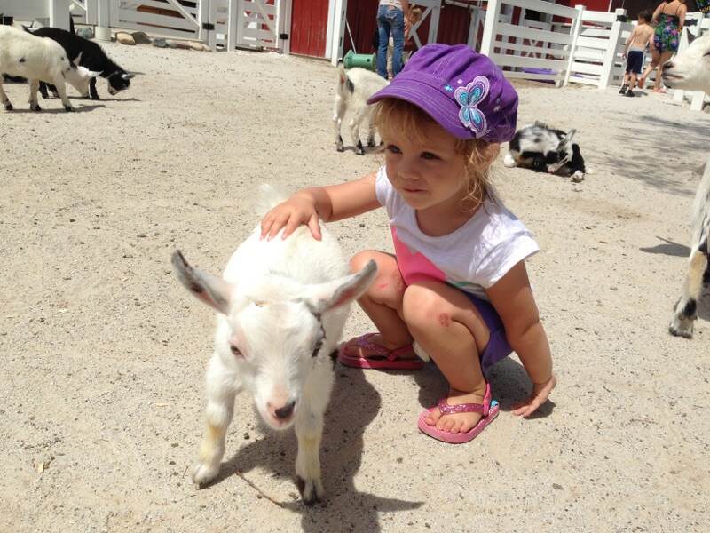 Ivy Marie Stroud enjoys petting animals at the Columbian Park Zoo in Lafayette.