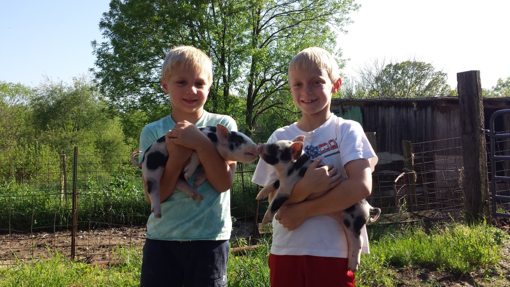 Andrew and Nathan Verkamp pose with their pigs on the family farm.