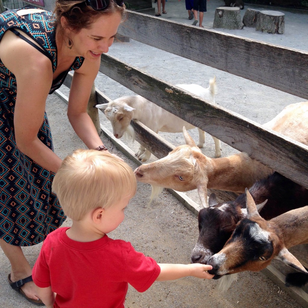 Abram and his mom, Cara, feed the goats at a petting zoo.