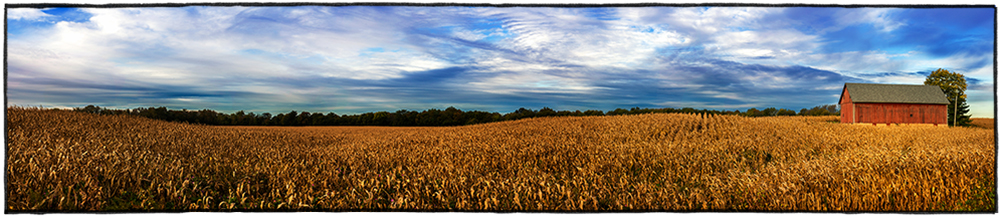 panoramic of cornfield and barn at harvest time in Indiana