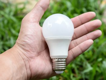 LED bulb in person's hand