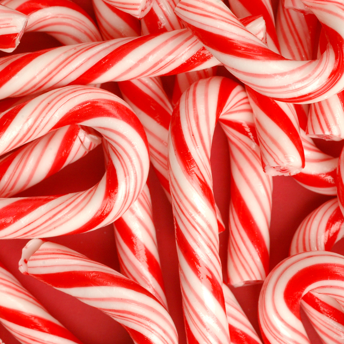 Raising canes Indiana Connection