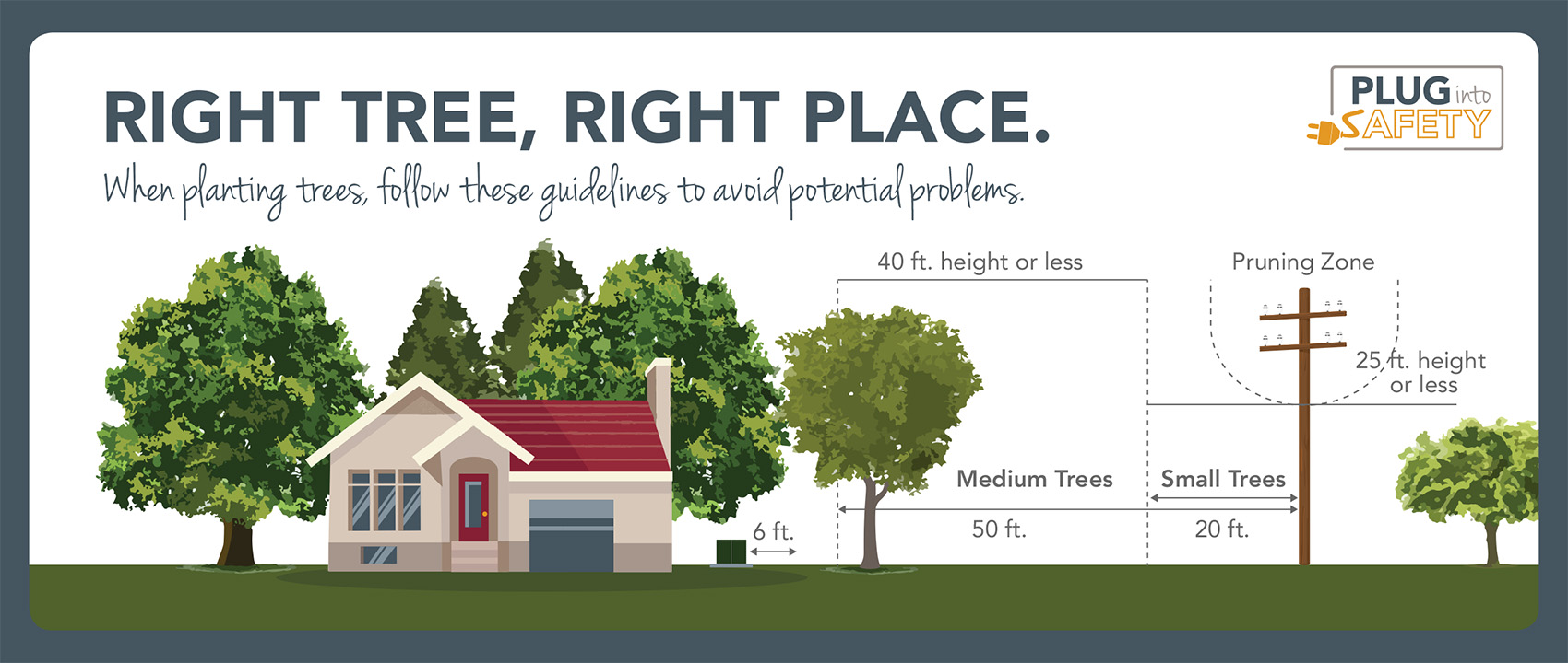 Right tree, right place inforgraphic