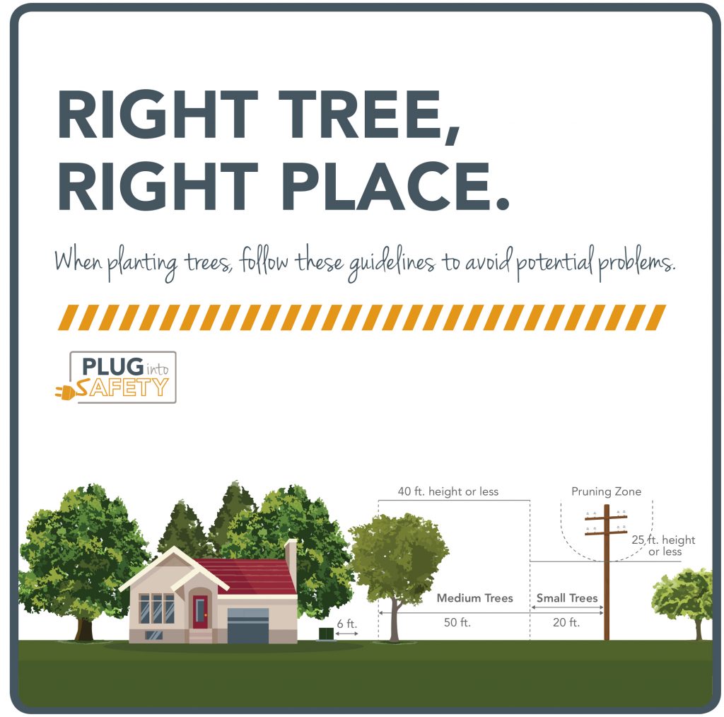 Infographic of right tree, right place