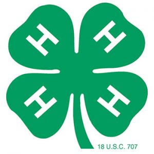 4-H Clover