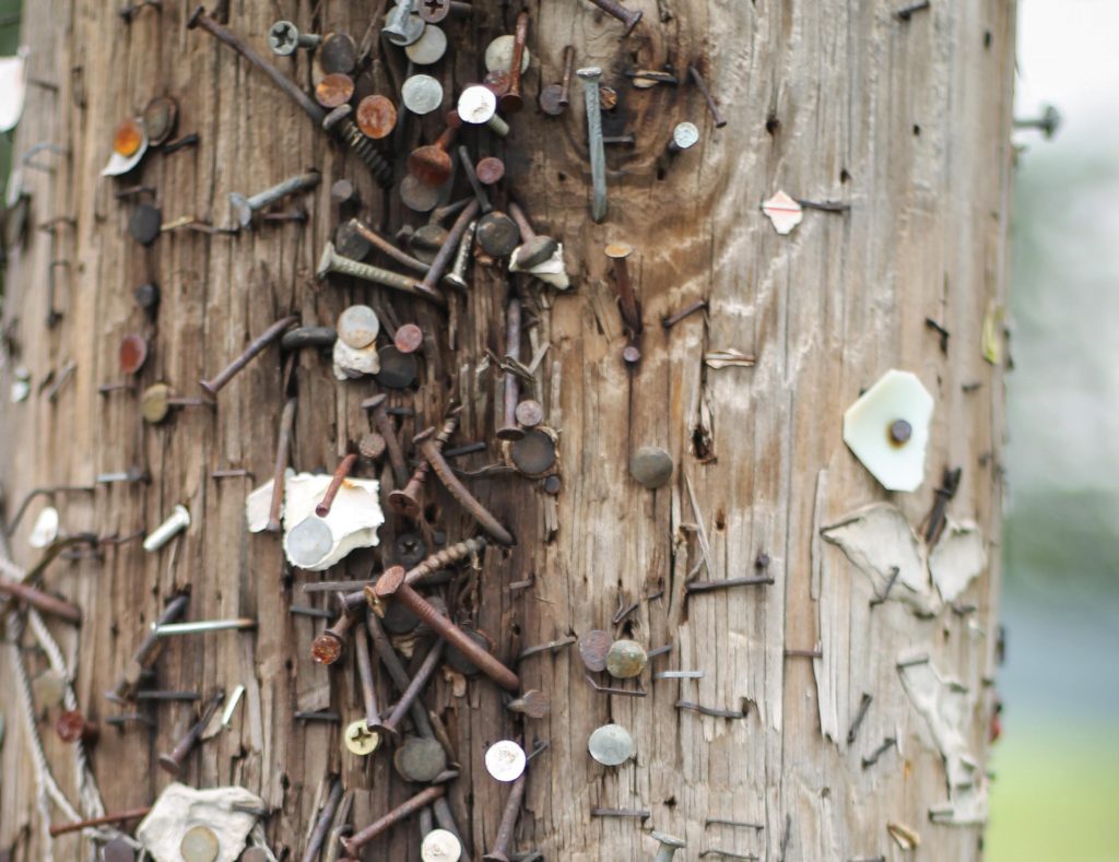 Utility pole with nails etc