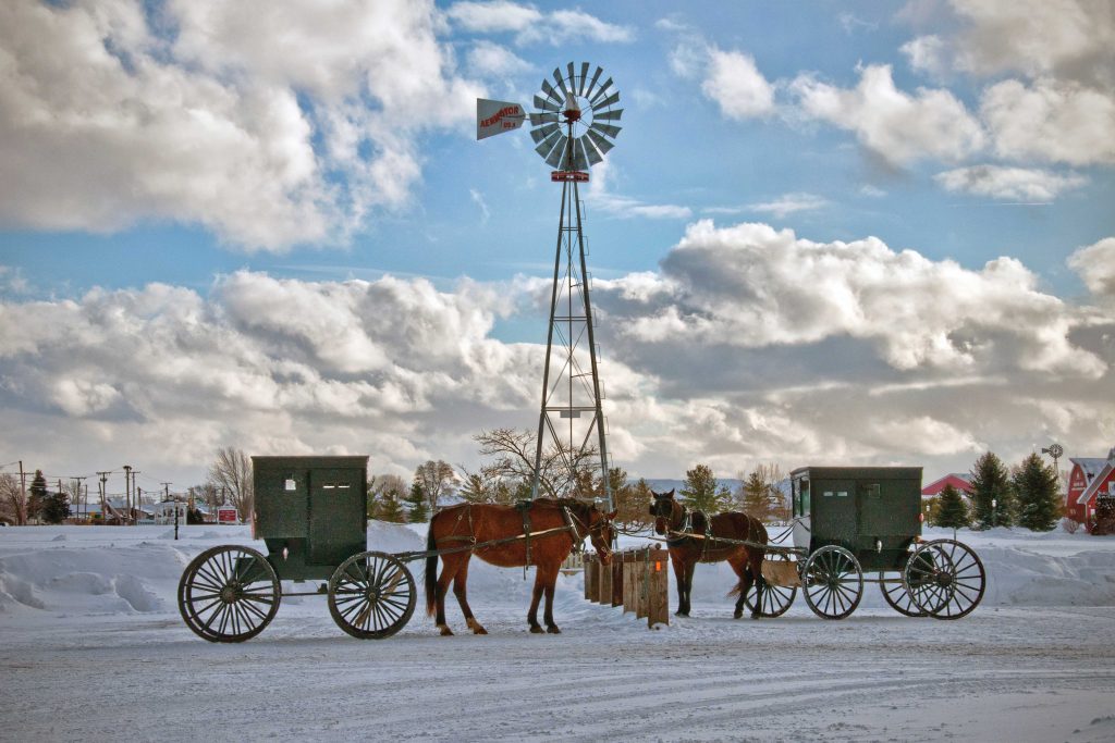 Amish buggies in winter at Yoder's store in Shipshewana, Indiana on cloudy day in front of windmill