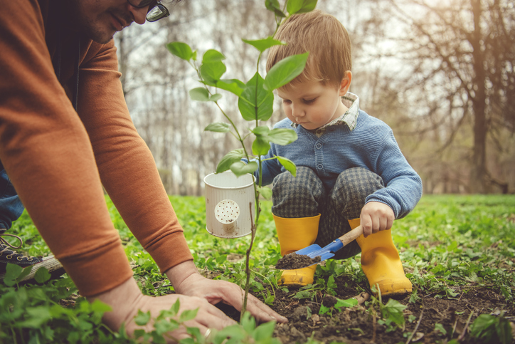 Boy planting a tree