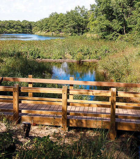 Photo of bridge at Miller Woods