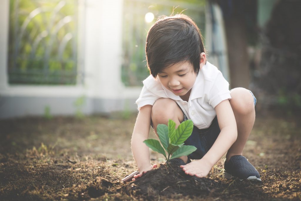 Kid planting a plant