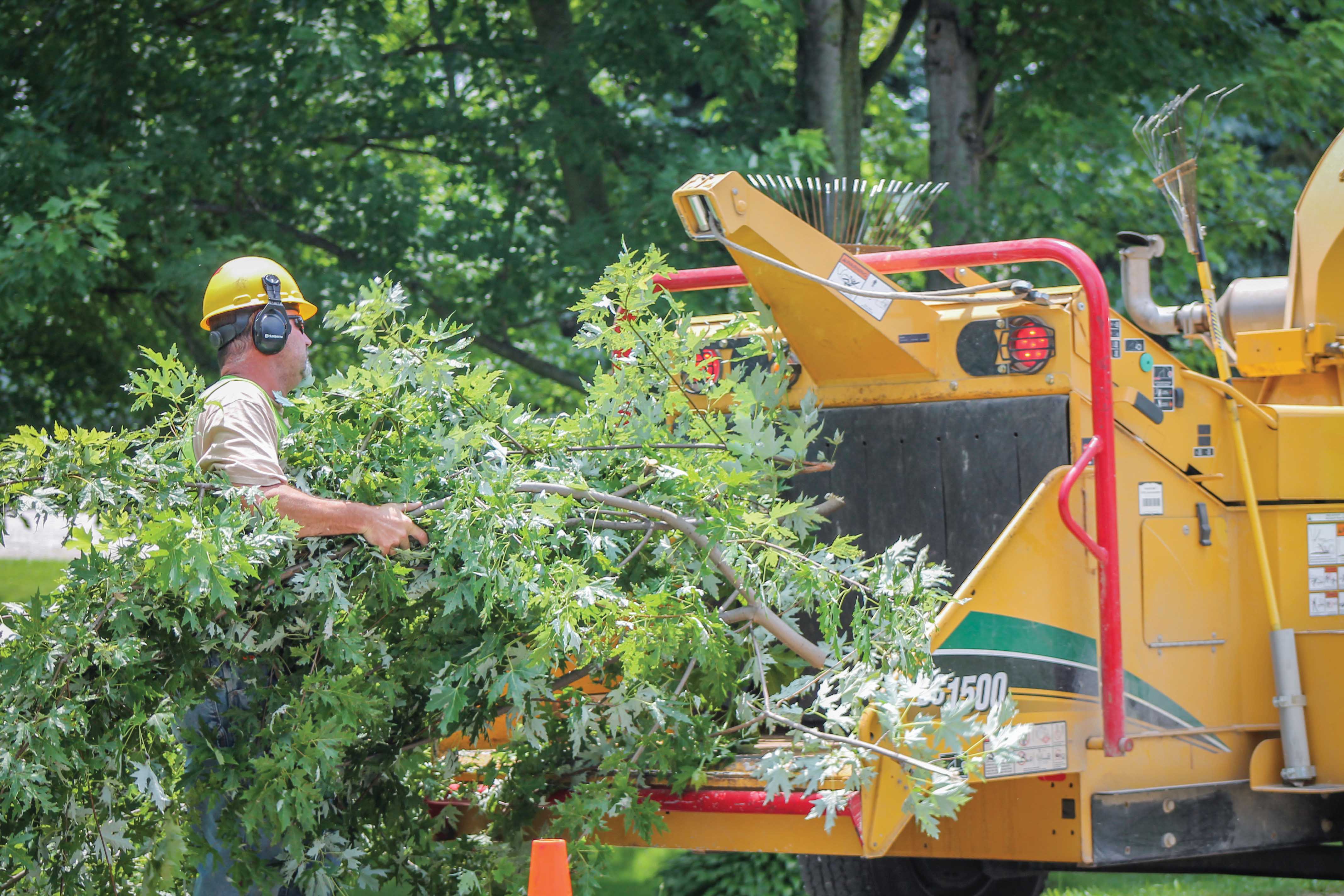 Crews trimming trees