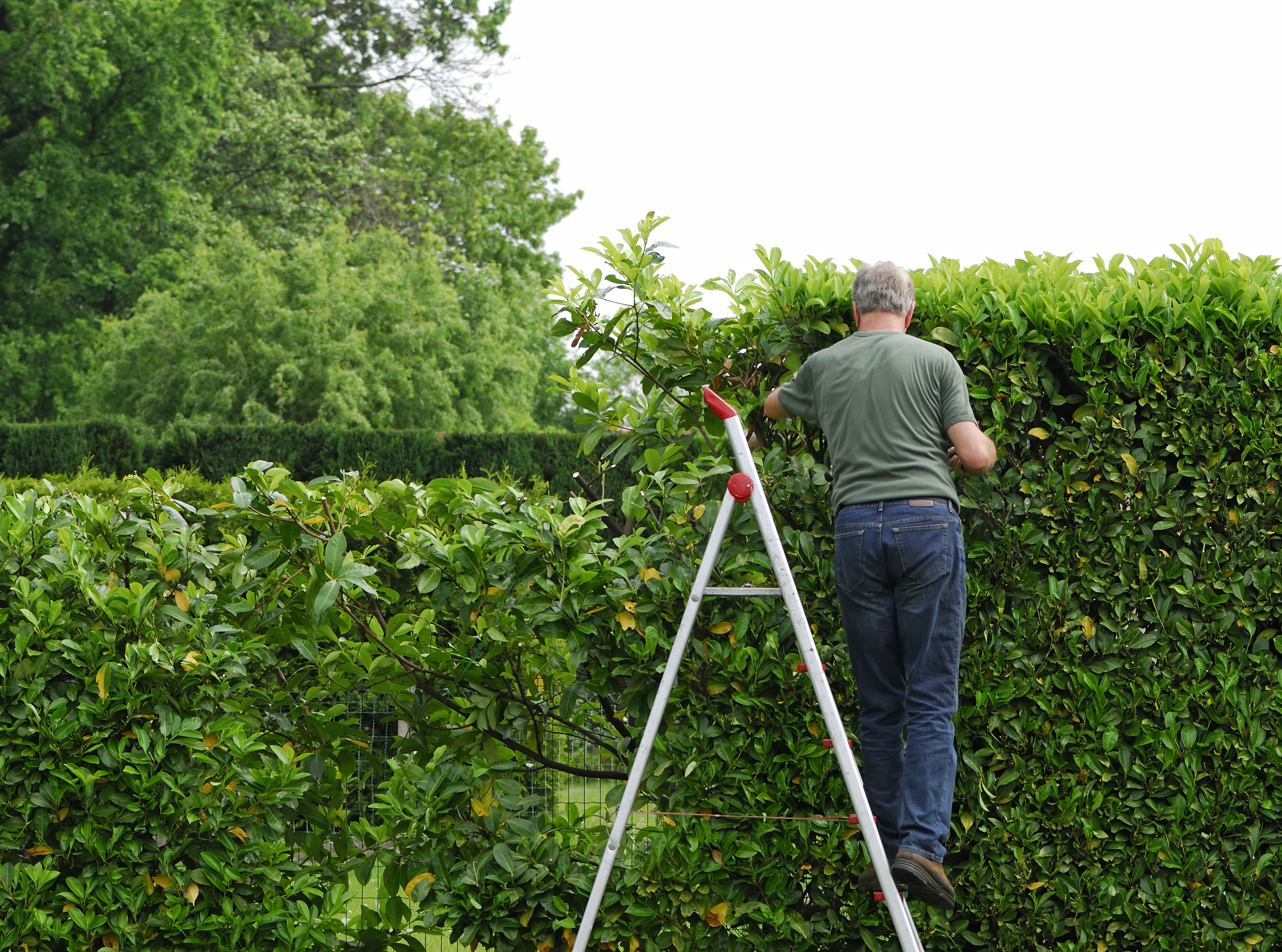 Man on ladder working outside