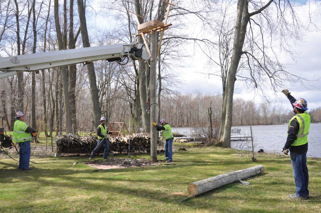 Linemen Gerald Young, Colton Feller, Delmar Bontrager and Nate Yoder work to straighten and set a pole in one Royer Lake resident’s yard, as part of an osprey perch project. 