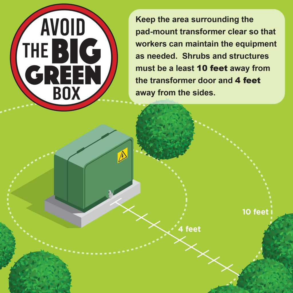 Big green box infographic