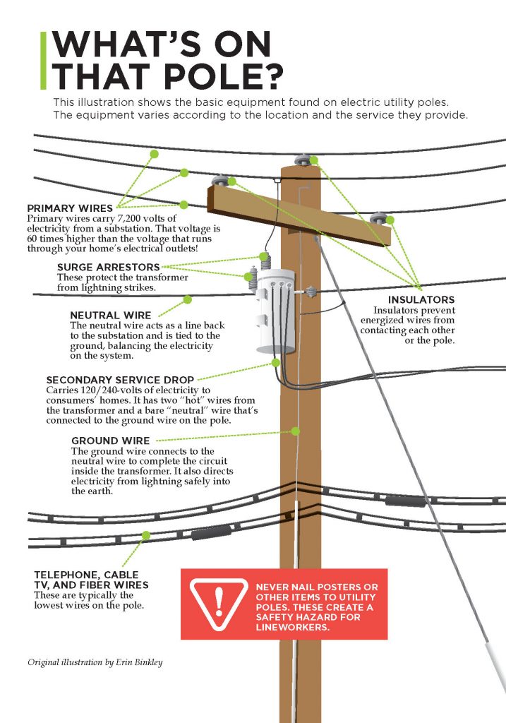 What's on that pole graphic