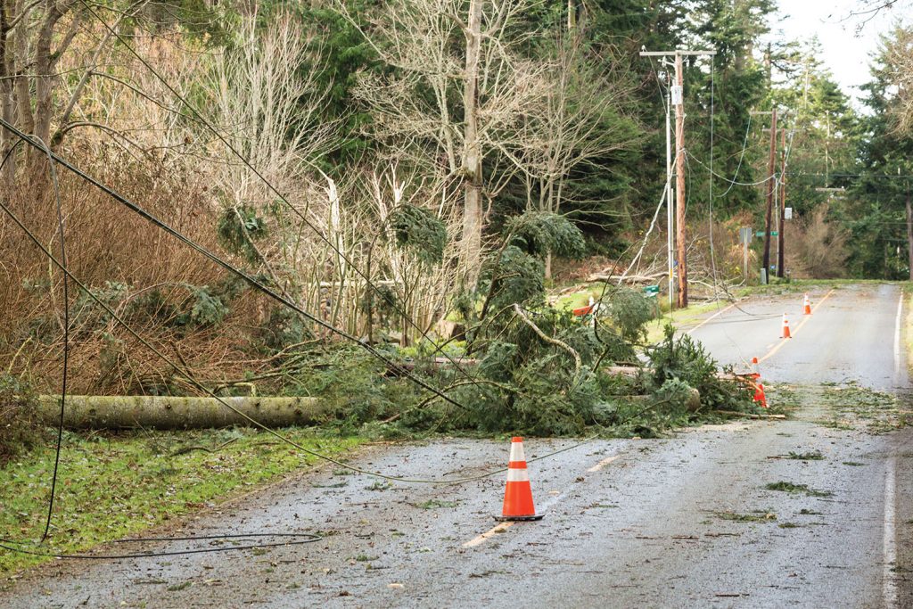 downed power lines