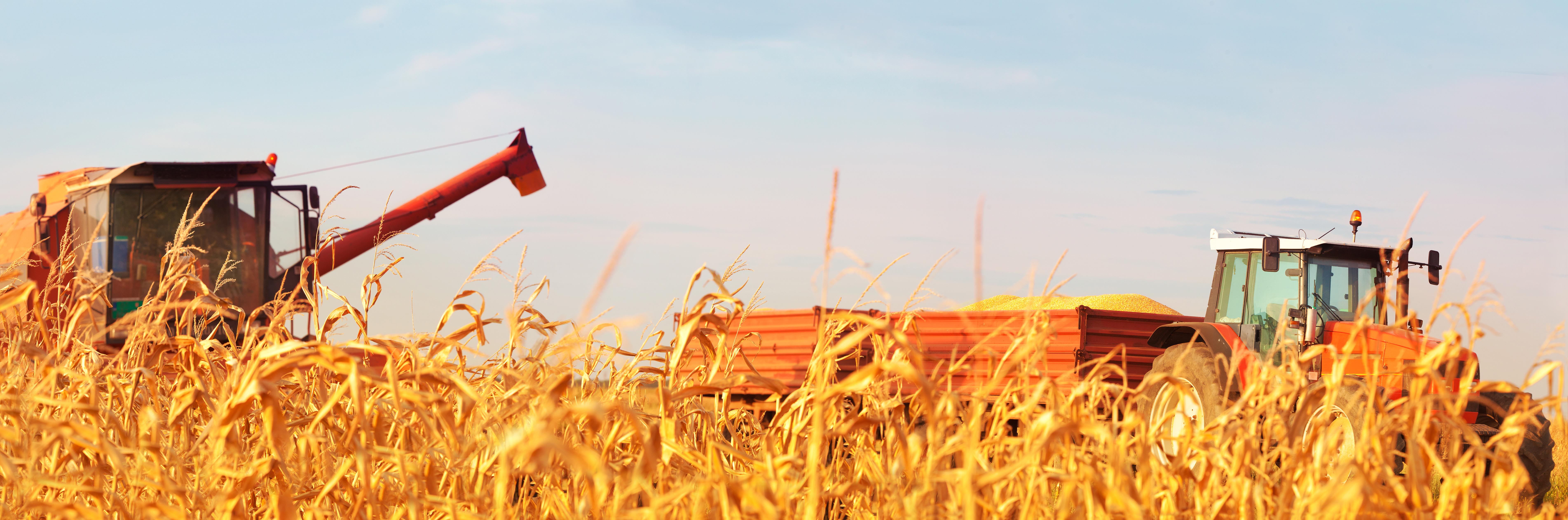 Farm harvest photo