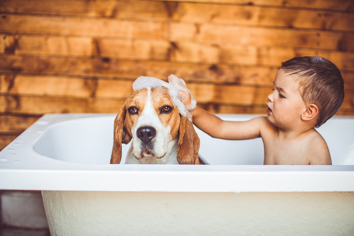 Boy in tub with dog