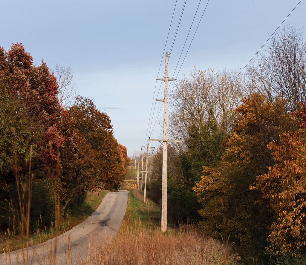 Fall scene with electric pole