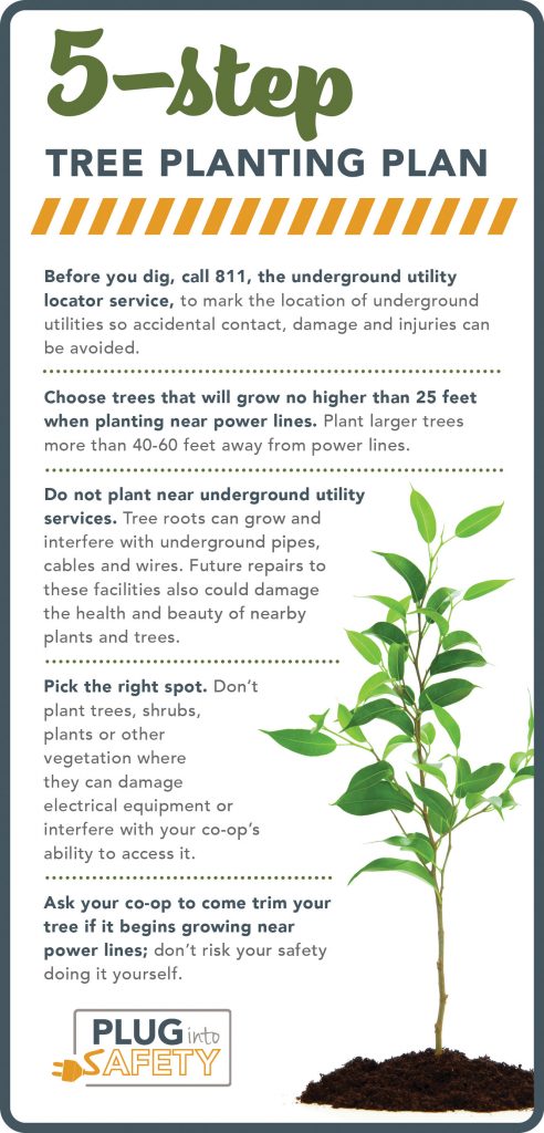 Tree planting graphic
