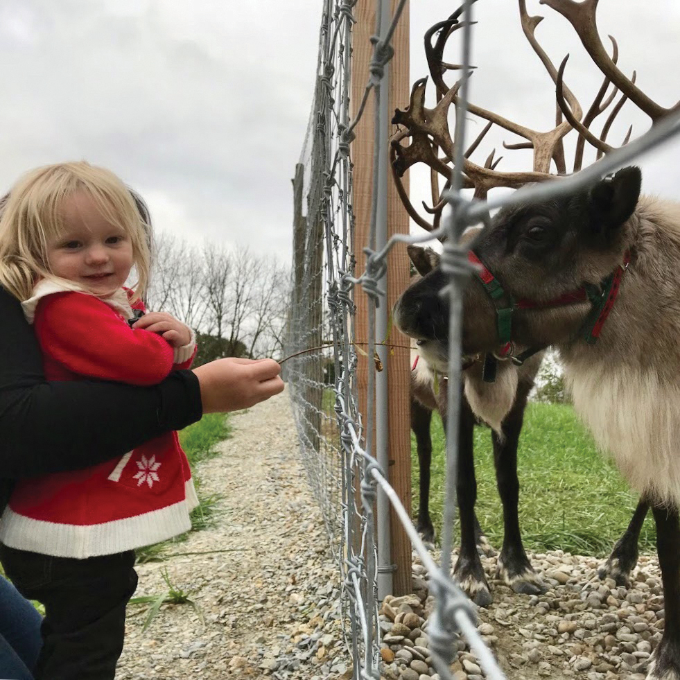 Girl at Reindeer Ridge