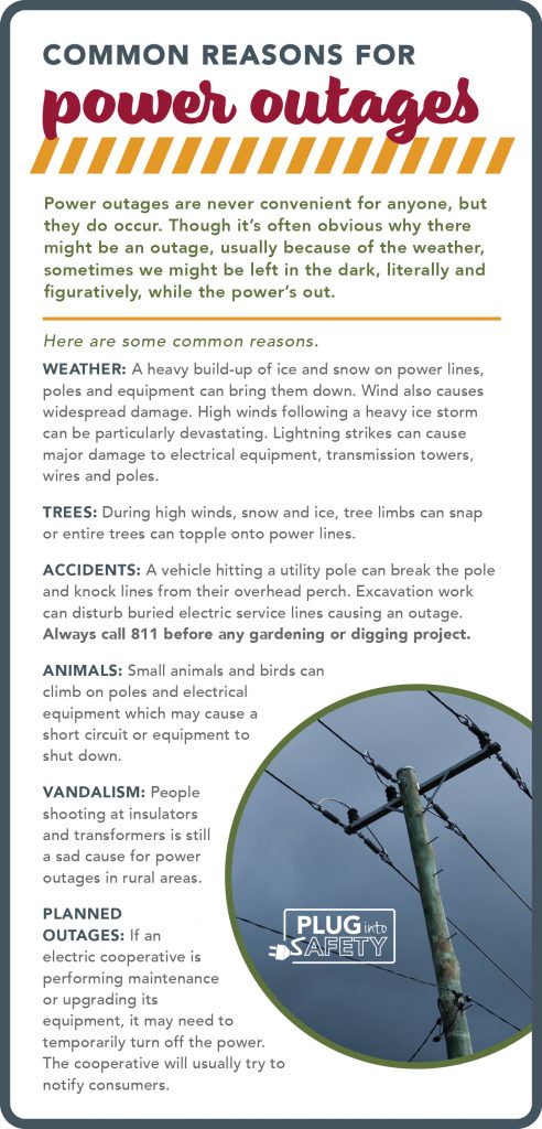 Common reasons for power outages infographic