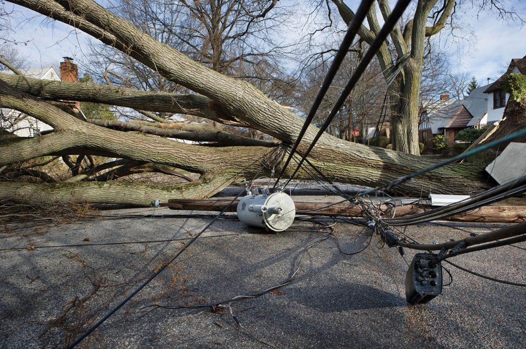 Photo of downed power line