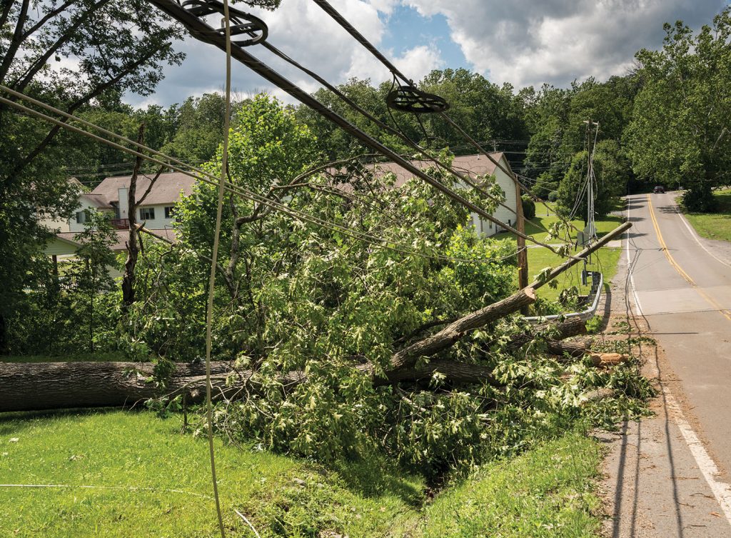 Downed power line