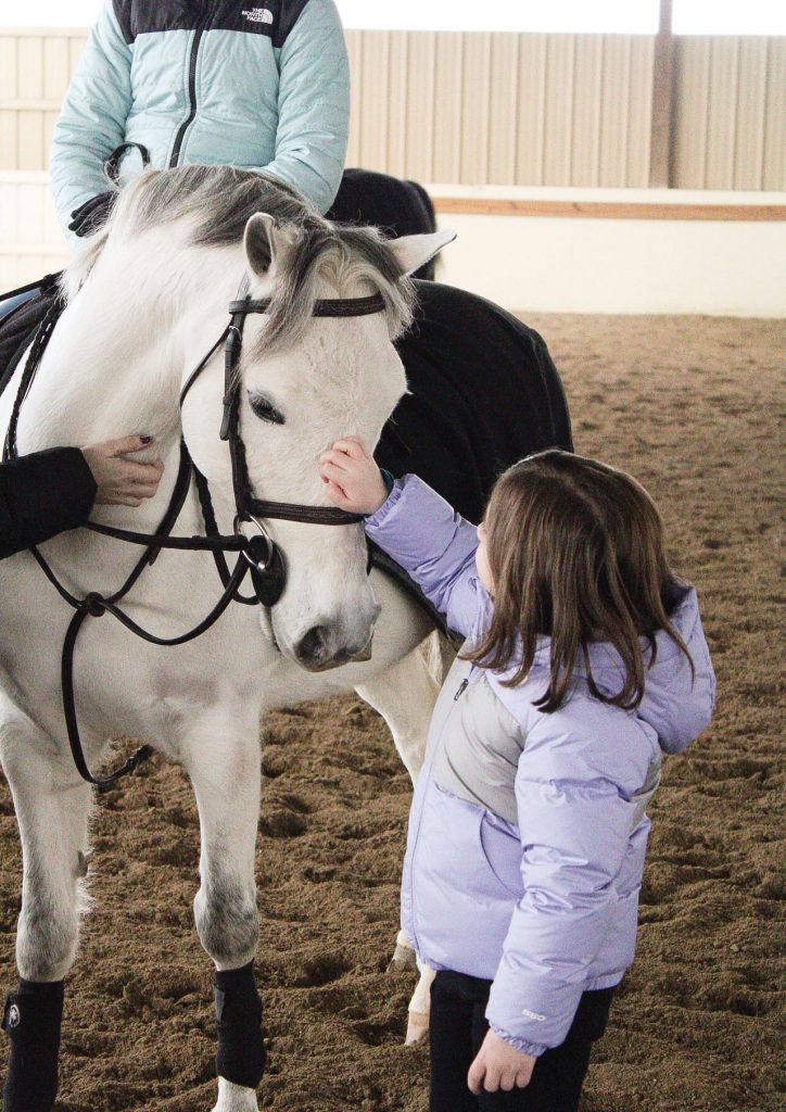 Girl petting horse at Three Ships LLC