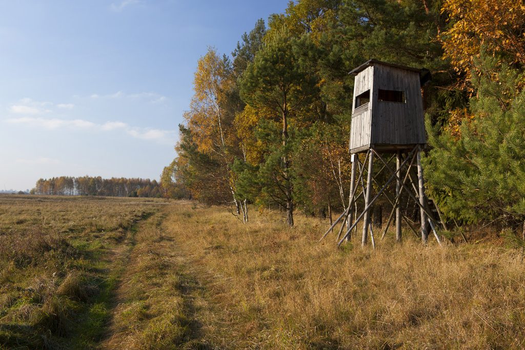 Hunting tower in the woods