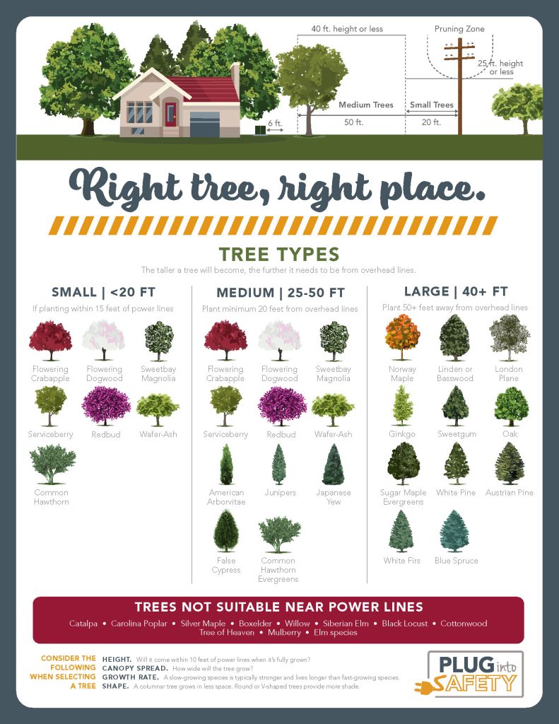 Tree planting graphic