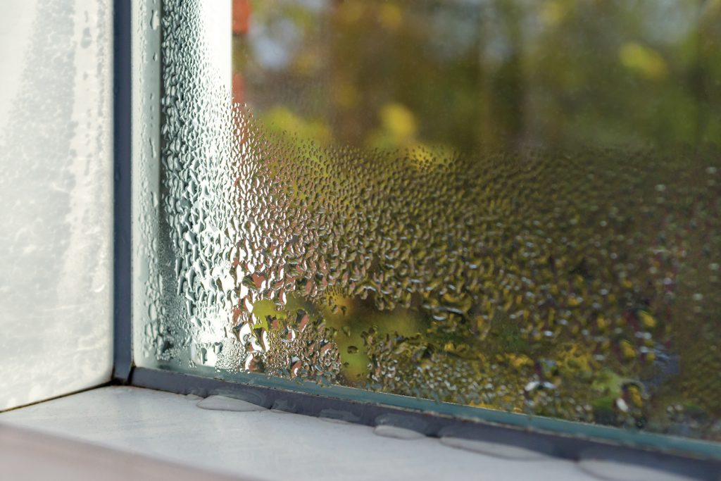 Condensation on a window