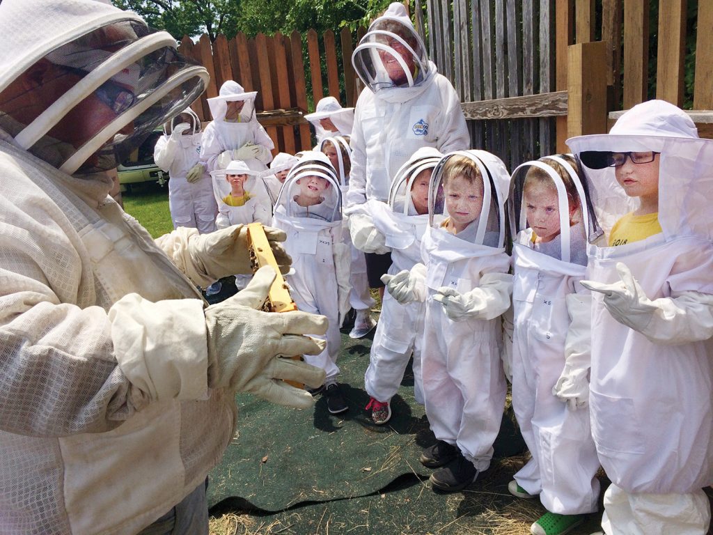 Caring Hands Camp with bees
