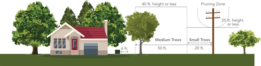 Tree planting graphic