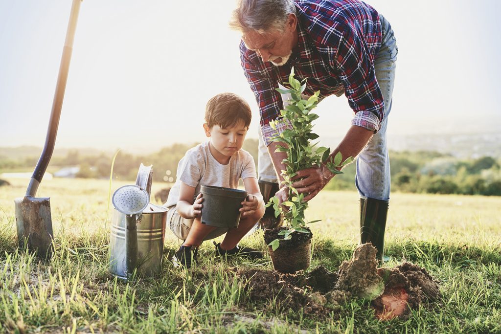 Man helping boy plant a tree