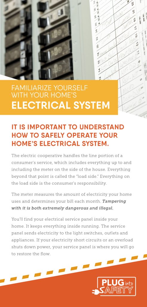 Electrical system infographic
