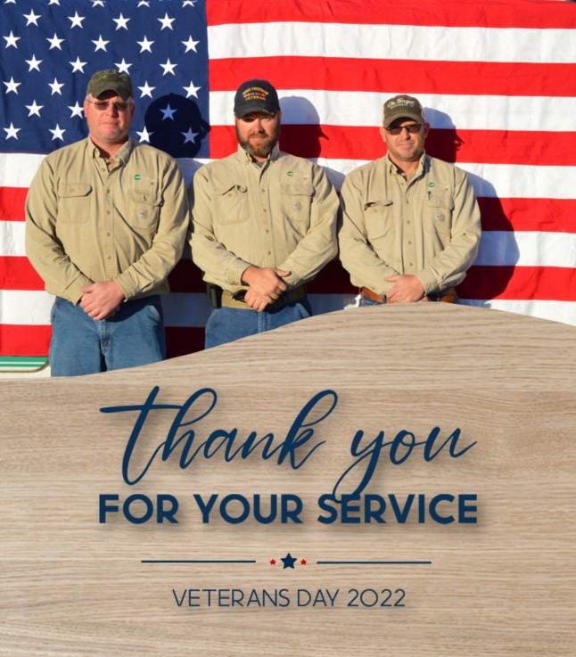 Veterans Day ad