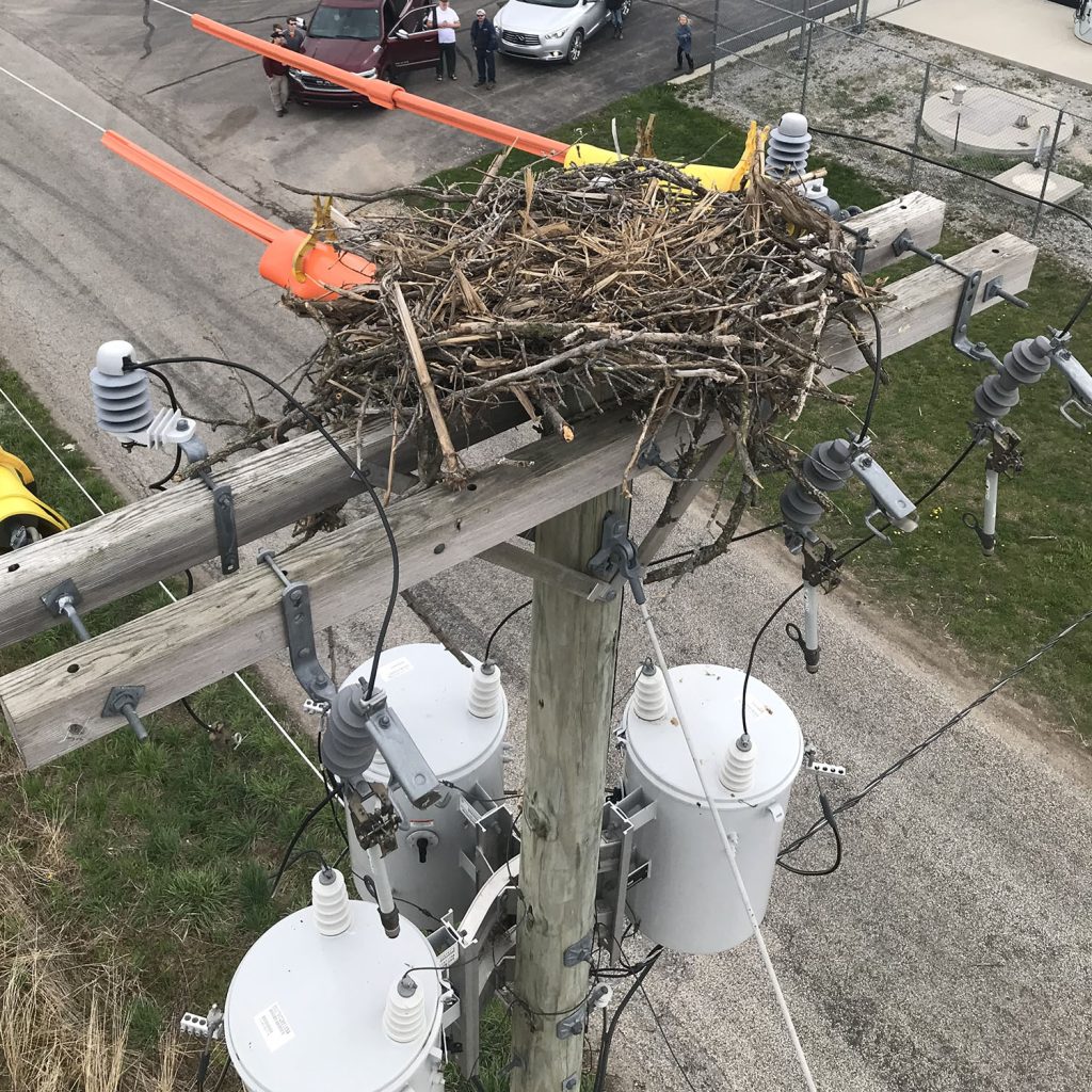 Osprey Nest - Noble REMC