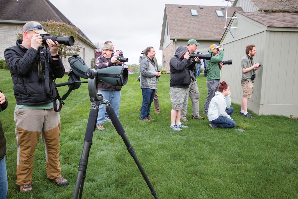 Birders taking photos