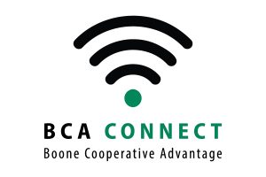 BCA Connect logo