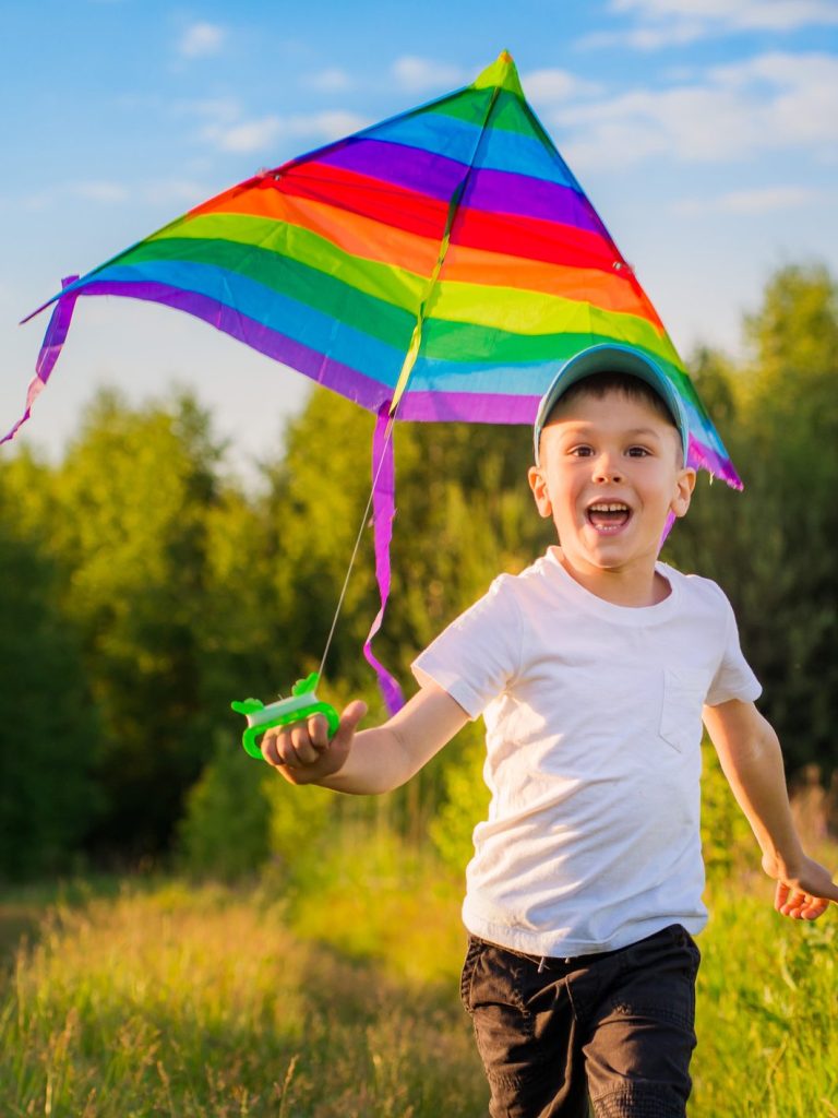 Boy flying kite