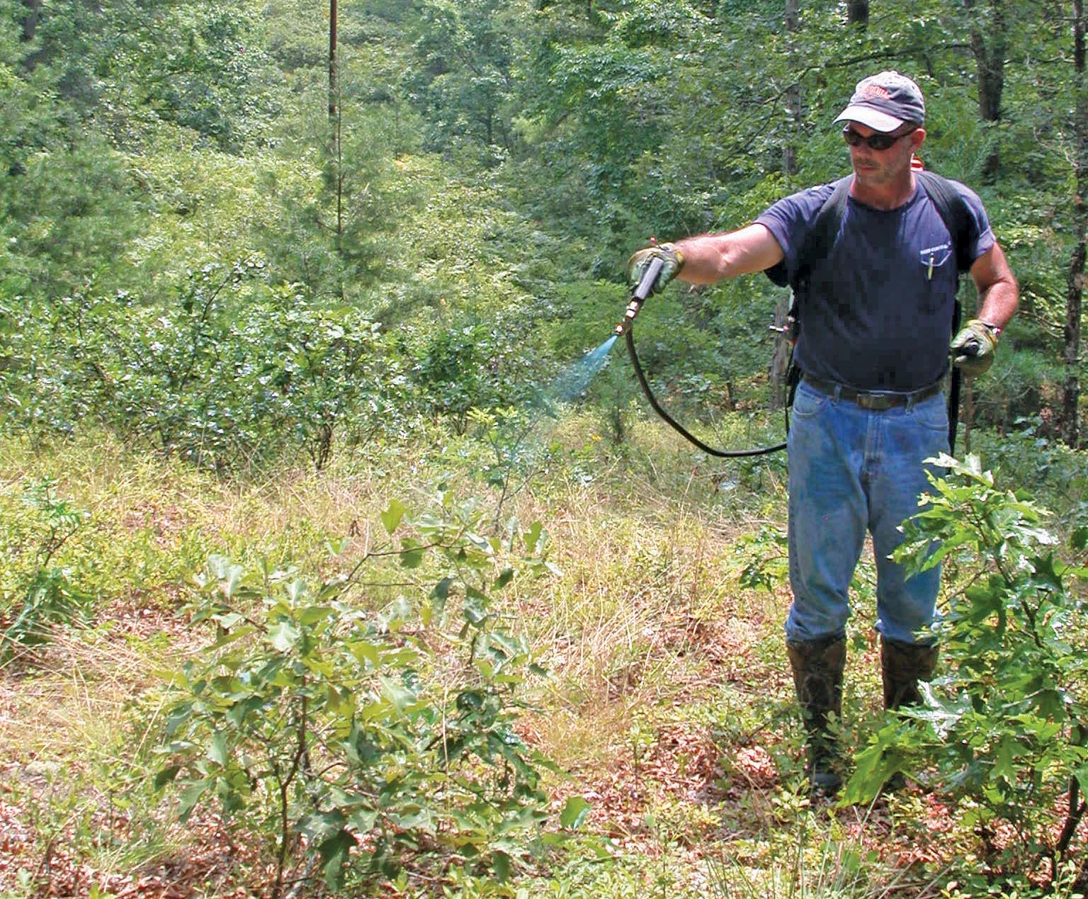 Worker Spraying