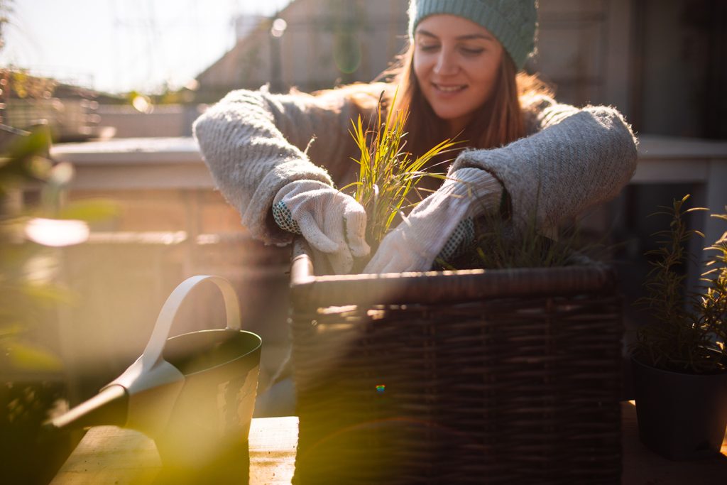 Photo of woman gardening