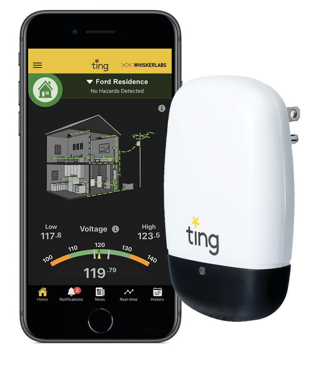 TING sensor