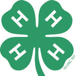 4-H Clover