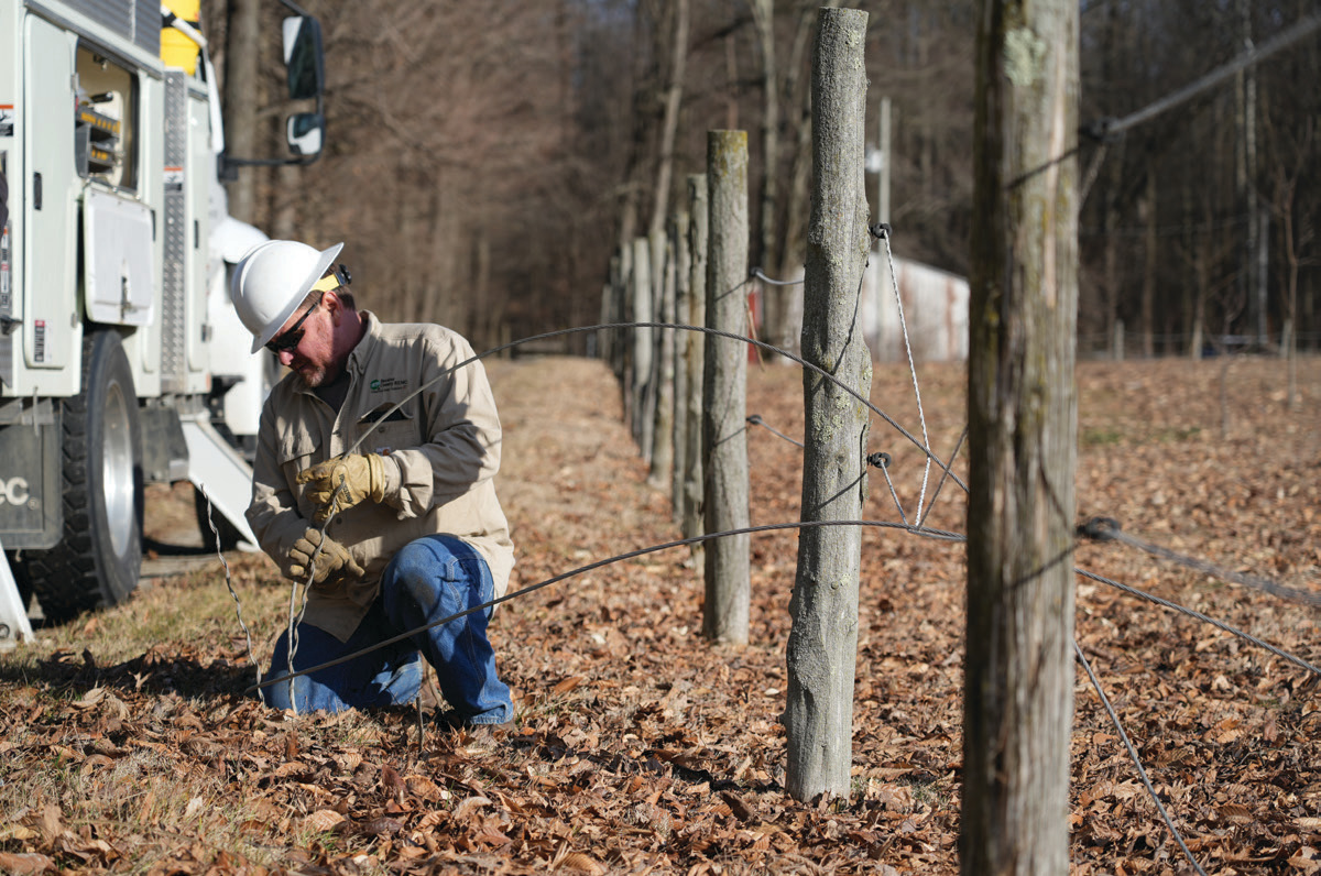 Lineman working on primary wires