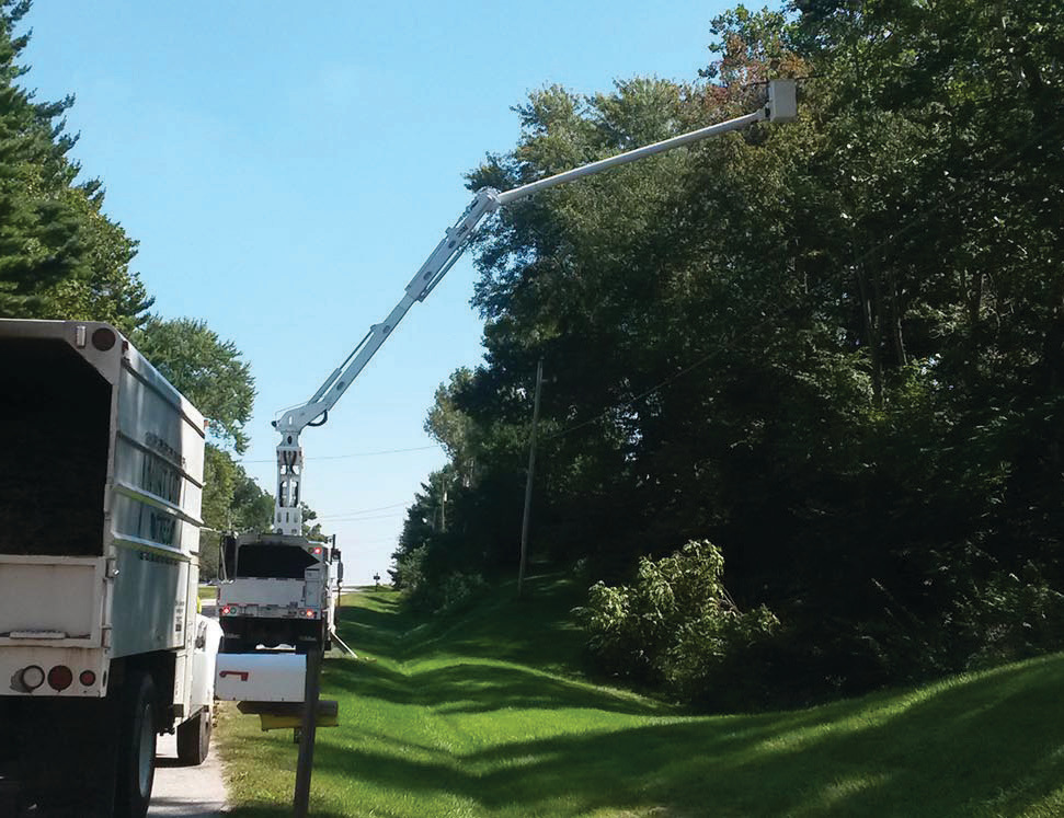 Tree trimming