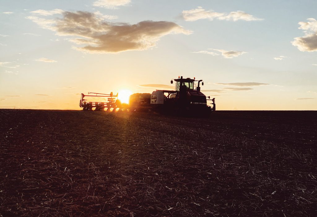 Farm scene